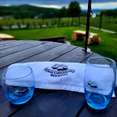 Karkonoskie Szklarska Poreba 別荘